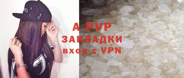 индика Аркадак