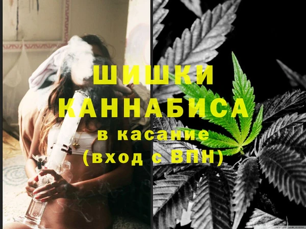 индика Аркадак