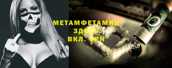 индика Аркадак