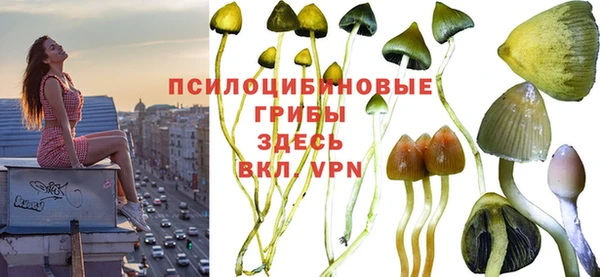 индика Аркадак