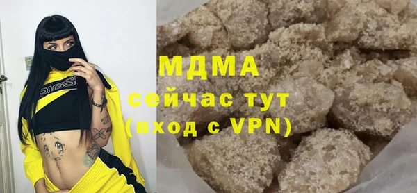 индика Аркадак