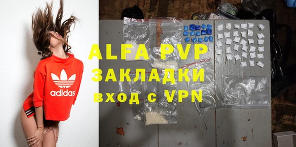 индика Аркадак