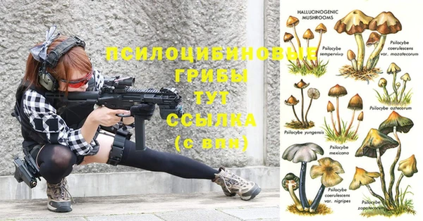 индика Аркадак