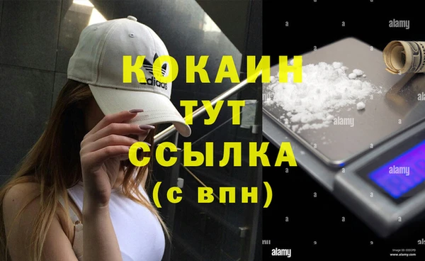 меф Арсеньев