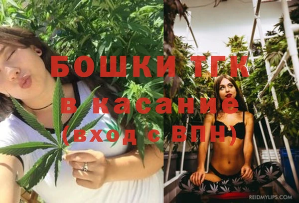 меф Арсеньев