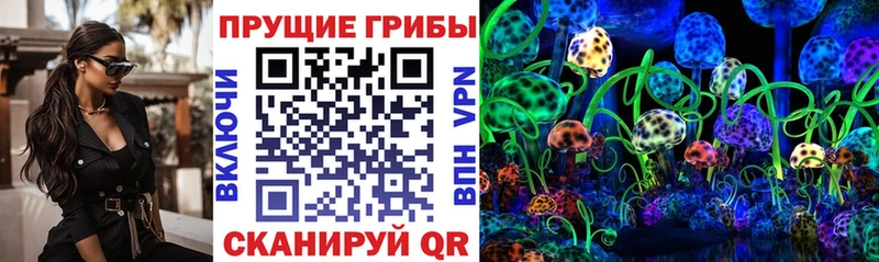 где продают   hydra как войти  Псилоцибиновые грибы мухоморы  Новый Уренгой 