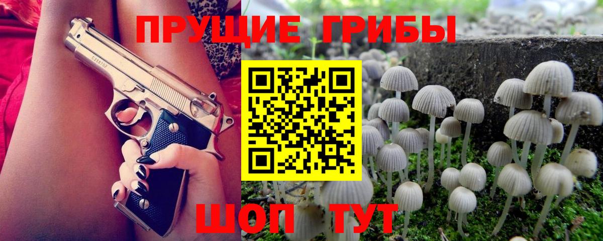 Новый Уренгой  Псилоцибиновые грибы Psilocybine cubensis  Вход с VPN  Псилоцибиновые грибы Psilocybe 