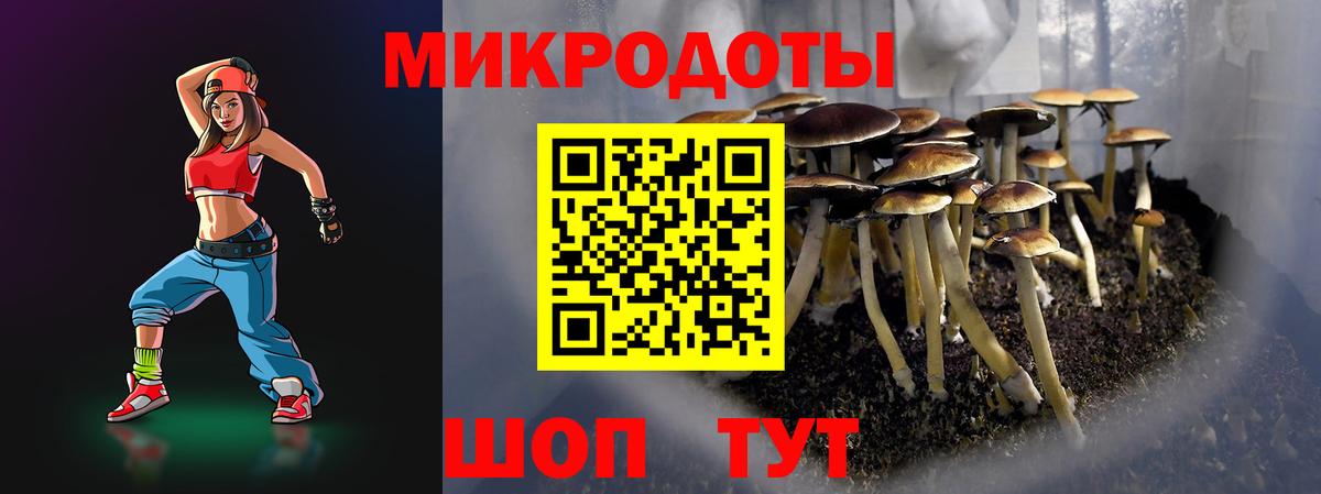 Псилоцибиновые грибы прущие грибы Новый Уренгой